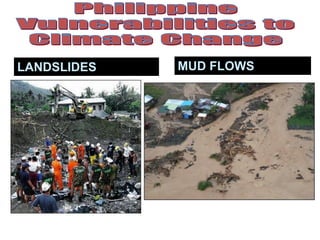 LANDSLIDES MUD FLOWS
 