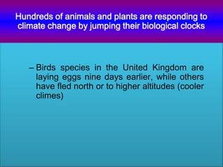 – Birds species in the United Kingdom are
laying eggs nine days earlier, while others
have fled north or to higher altitudes (cooler
climes)
Hundreds of animals and plants are responding to
climate change by jumping their biological clocks
 