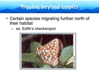 Trouble beyond tropics
• Certain species migrating further north of
their habitat
– ex: Edith’s checkerspot
 
