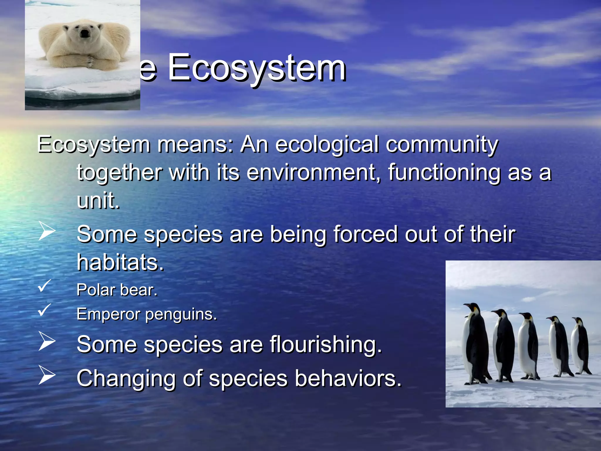 .On the Ecosystem
Ecosystem means: An ecological community
   together with its environment, functioning as a
   unit.
 Some species are being forced out of their
   habitats.
   Polar bear.
   Emperor penguins.
 Some species are flourishing.
 Changing of species behaviors.
 