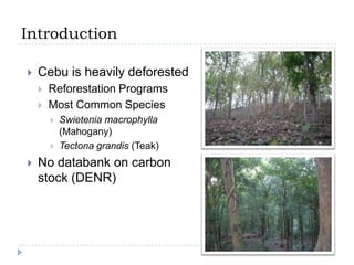 Estimating Carbon Stock of a Protected Tropical Forest in Cebu, Central Philippines