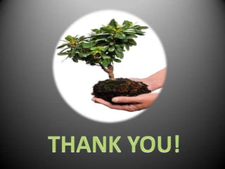 Global warming & greenhouse effect