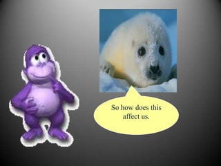 So how does this
    affect us.
 