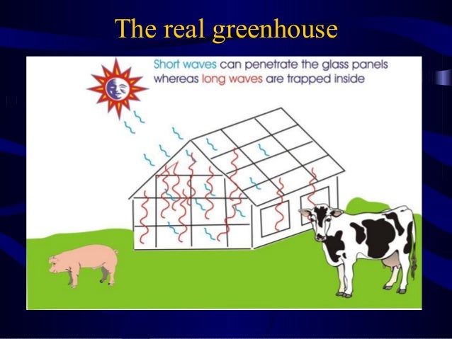 Global Warming Greenhouse Gases And Climate