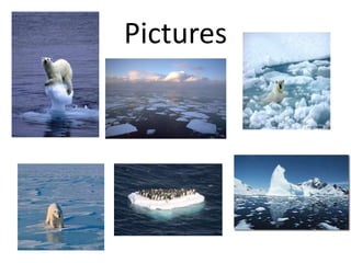 Pictures