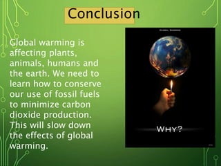 Conclusion
Global warming is
affecting plants,
animals, humans and
the earth. We need to
learn how to conserve
our use of fossil fuels
to minimize carbon
dioxide production.
This will slow down
the effects of global
warming.
 
