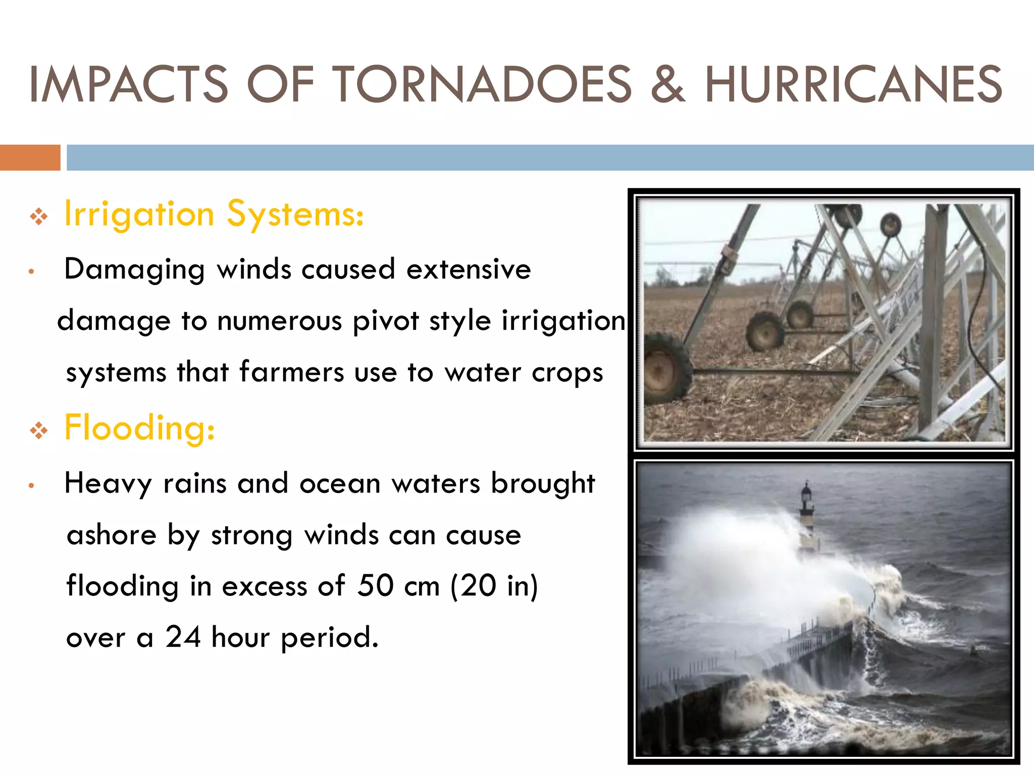 IMPACTS OF TORNADOES & HURRICANES
 Irrigation Systems:
• Damaging winds caused extensive
damage to numerous pivot style irrigation
systems that farmers use to water crops
 Flooding:
• Heavy rains and ocean waters brought
ashore by strong winds can cause
flooding in excess of 50 cm (20 in)
over a 24 hour period.
 