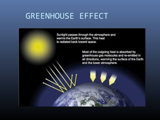 GREENHOUSE EFFECT
 