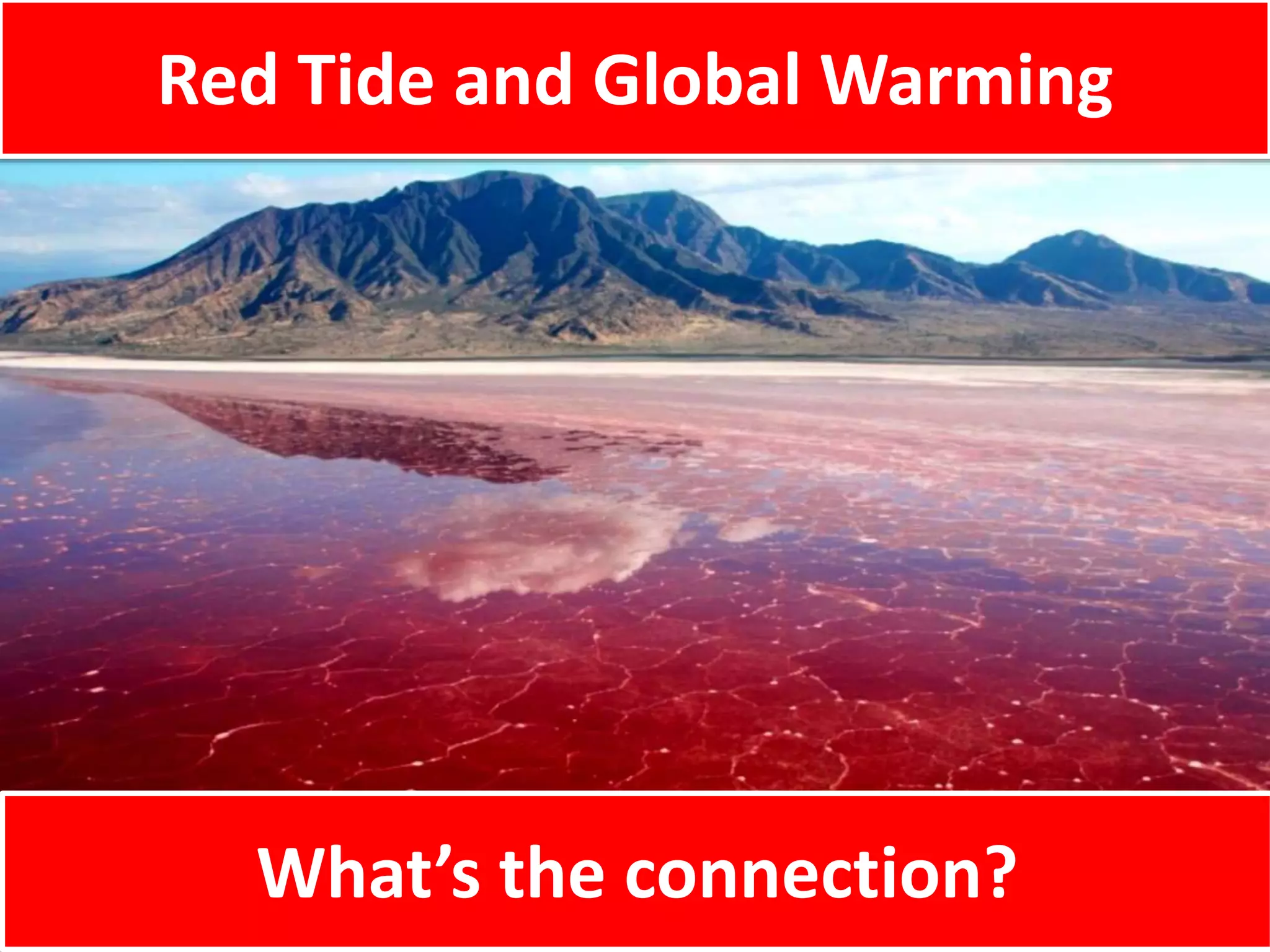 Red Tide and Global Warming
What’s the connection?
 