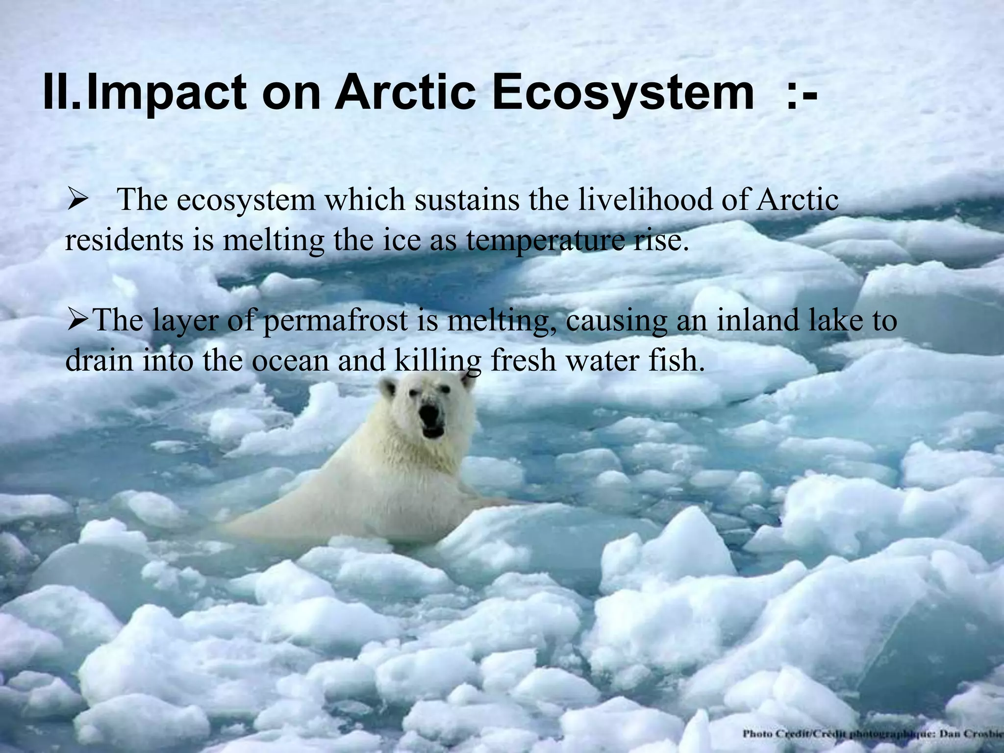 II.Impact on Arctic Ecosystem :-
 The ecosystem which sustains the livelihood of Arctic
residents is melting the ice as temperature rise.
The layer of permafrost is melting, causing an inland lake to
drain into the ocean and killing fresh water fish.
 