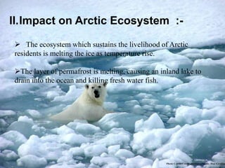 II.Impact on Arctic Ecosystem :-
 The ecosystem which sustains the livelihood of Arctic
residents is melting the ice as temperature rise.
The layer of permafrost is melting, causing an inland lake to
drain into the ocean and killing fresh water fish.
 