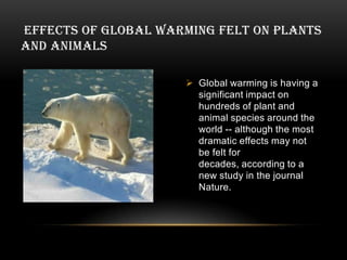 Global warming ppt tanya Slide 10
