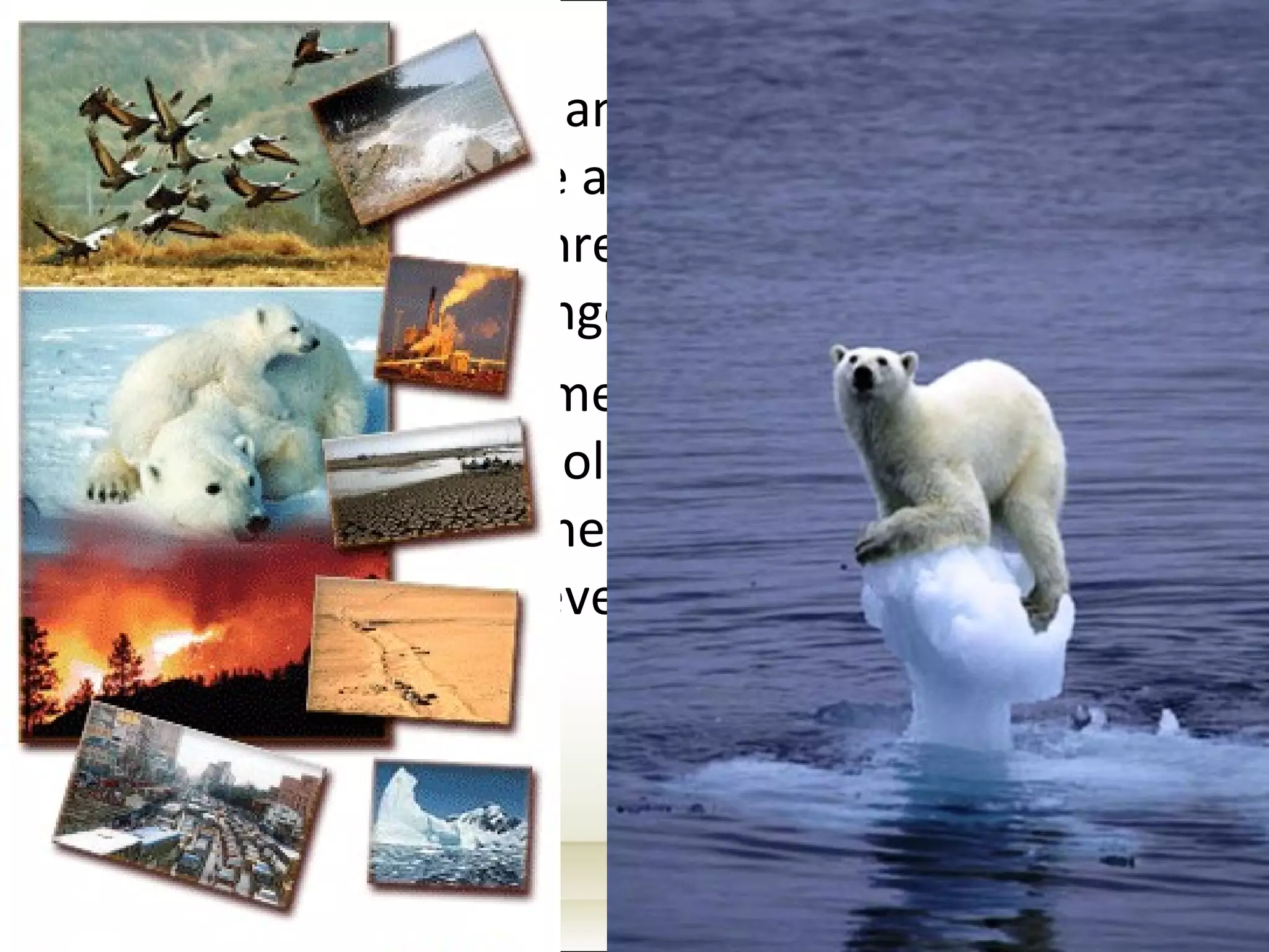 Extinction of many animal species - scientists estimate that there are about 1 million species currently threatened with extinction due to climate changes and loss of habitats Global warming is melting the polar bears’ habitat; stranded polar bears are drowning in large numbers as they try to swim hundreds of miles to find whatever ice still remains 