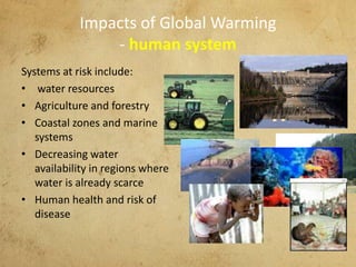Impacts of Global Warming
- human system
Systems at risk include:
• water resources
• Agriculture and forestry
• Coastal zones and marine
systems
• Decreasing water
availability in regions where
water is already scarce
• Human health and risk of
disease
 