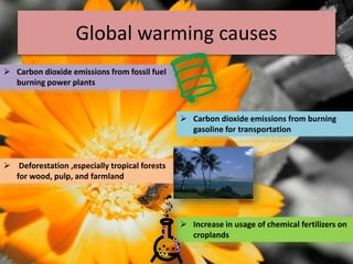 Global warming causes
 Carbon dioxide emissions from fossil fuel
burning power plants
 Carbon dioxide emissions from burning
gasoline for transportation
 Deforestation ,especially tropical forests
for wood, pulp, and farmland
 Increase in usage of chemical fertilizers on
croplands
 