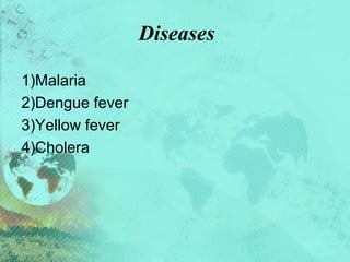 Diseases
1)Malaria
2)Dengue fever
3)Yellow fever
4)Cholera
 