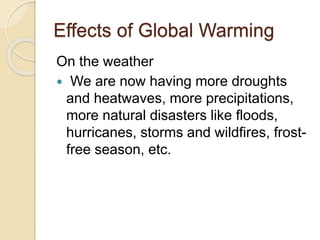 Effects of Global Warming
On the weather
 We are now having more droughts
and heatwaves, more precipitations,
more natural disasters like floods,
hurricanes, storms and wildfires, frost-
free season, etc.
 