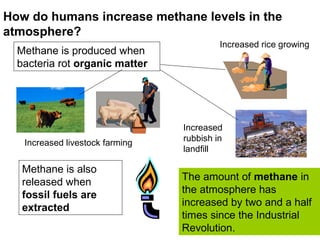 How do humans increase methane levels in the 
atmosphere? 
Increased 
rubbish in 
landfill 
The amount of methane in 
the atmosphere has 
increased by two and a half 
times since the Industrial 
Revolution. 
Methane is produced when 
bacteria rot organic matter 
Increased livestock farming 
Increased rice growing 
Methane is also 
released when 
fossil fuels are 
extracted 
 