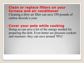 ICE MELTING                                                             cause Penguin to migrate to the beaches of São Paulo state in Brazil An example of what Global Warming is doing to our Earth