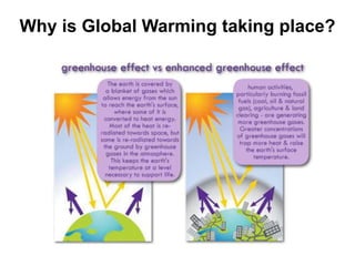 Why is Global Warming taking place?
 