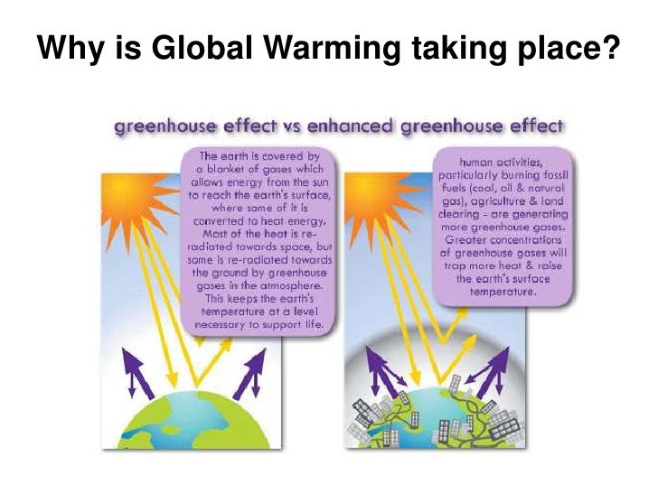 Global Warming Revision