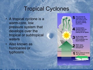 Tropical Cyclones A tropical cyclone is a warm-core, low pressure system that develops over the tropical or subtropical waters Also known as hurricanes or typhoons 
