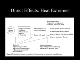 Direct Effects: Heat Extremes 