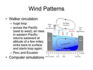 Wind Patterns Walker circulation huge loop across the Pacific (east to west); air rises in western Pacific; returns eastward at altitude of a few miles; sinks back to surface and starts loop again. Peru and Ecuador Computer simulations 