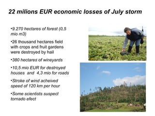 22 milions EUR economic losses of July storm

•9.270 hectares of forest (0,5
mio m3)
•26 thousand hectares field
with crops and fruit gardens
were destroyed by hail
•380 hectares of wineyards
•10,5 mio EUR for destroyed
houses and 4,3 mio for roads
•Stroke of wind acheived
speed of 120 km per hour
•Some scientists suspect
tornado efect
 