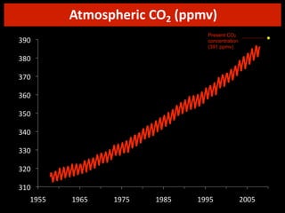 Atmospheric	
  CO2	
  (ppmv)
Present CO2
concentration
(391 ppmv)

!+#$
!*#$
!)#$
!(#$
!'#$
!&#$
!!#$
!%#$
!"#$
"+''$

"+('$

"+)'$

"+*'$

"++'$

%##'$

 