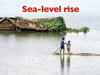 Sea-level rise

 