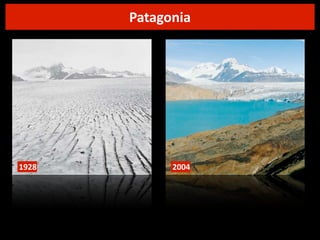 Patagonia

1928

2004

 