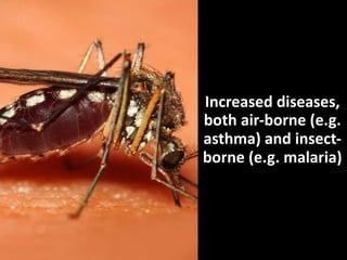 Increased	
  diseases,	
  
both	
  air-­‐borne	
  (e.g.	
  
asthma)	
  and	
  insect-­‐
borne	
  (e.g.	
  malaria)

 