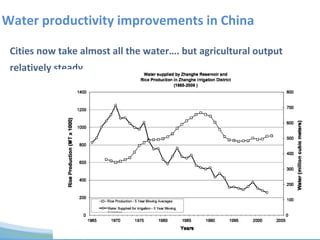 Global water challenges River Basin Management Opportunities and Risks