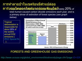 Tropical deforestation  is responsible for approximately  20%  of total  human-caused carbon dioxide emissions each year , and is a primary driver of extinction of forest species ( see graph below).   http://www.ucsusa.org/global_environment/biodiversity/page.cfm?page  ID=526 FORESTS AND GREENHOUSE GAS EMISSIONS การทำลายป่าในเขตร้อนมีส่วนปล่อยคาร์บอนไดออกไซด์มากน้อยเพียงใด ? 20%  of total  human-caused carbon dioxide emissions Tropical deforestation is responsible for about  20%  of the world's annual CO 2  emissions  ( IPCC Special Report on LULUCF (2000)     ).  