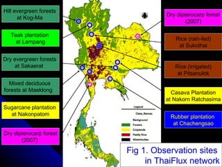 Rubber plantation  at Chachengsao Dry dipterocarp forest (2007) Hill evergreen forests  at Kog-Ma  Dry evergreen forests  at Sakaerat  Mixed deciduous  forests at Maeklong  Rice (rain-fed) at Sukothai Rice (irrigated) at Pitsanulok Teak plantation  at Lampang Casava Plantation at  Nakorn Ratchasima Dry dipterocarp forest (2007)  Sugarcane plantation  at Nakonpatom Fig 1. Observation sites  in ThaiFlux network 