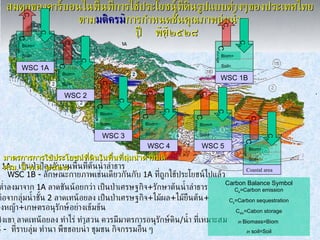 สมดุลของคาร์บอนในพื้นที่การใช้ประโยชน์ที่ดินรูปแบบต่างๆของประเทศไทยตาม มติครม การกำหนดชั้นคุณภาพลุ่มน้ำ ปีพศ๒๕๒๘ WSC 1A-  เป็นป่าป้องกันบนพื้นที่ต้นน้ำลำธาร WSC 1B -  ลักษณะกายภาพเช่นเดียวกันกับ  1A  ที่ถูกใช้ประโยชน์ไปแล้ว WSC 3 -  ต่อจากลุ่มน้ำชั้น  2  ลาดเทน้อยลง เป็นป่าเศรษฐกิจ + ไม้ผล + ไม้ยืนต้น + ทุ่งหญ้า + เกษตรอนุรักษ์อย่างเข้มข้น  WSC 4 -  เชิงเขา ลาดเทน้อยลง ทำไร่ ทำสวน ควรมีมาตรการอนุรักษ์ดิน / น้ำ ที่เหมาะสม WSC 5 -  ที่ราบลุ่ม ทำนา พืชชอบน้ำ ชุมชน กิจกรรมอื่น ๆ WSC 2 -  ต่ำลงมาจาก  1A  ลาดชันน้อยกว่า เป็นป่าเศรษฐกิจ + รักษาต้นน้ำลำธาร Carbon Balance Symbol C e =Carbon emission C s =Carbon sequestration C sto =Cabon storage in  Biomass=Biom  in  soil=Soil C e C s C storage Biom= Soil= C e C s C storage Biom= Soil= C e C s C storage Biom= Soil= C e C s C storage Biom= Soil= C e C s C storage Biom= Soil= C e C s C storage Biom= Soil= มาตรการการใช้ประโยชน์ที่ดินในพื้นที่ลุ่มน้ำตามมติ ครม .  ปี พ . ศ .  ๒๕๒๘ C e C s C storage Biom= Soil= WSC 1A WSC 1B WSC 2 WSC 3 WSC 4 WSC 5 Coastal area 