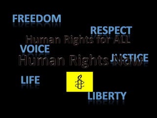 freedom respect Human Rights for ALL voice justice Human Rights Now life liberty 