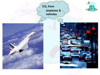 CO2 from
airplanes &
vehicles
 