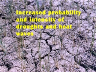 Increased probability
and intensity of
droughts and heat
waves
 