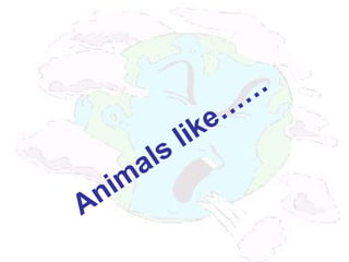Animals like…
…
 