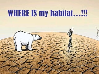 WHERE IS my habitat…!!!
 