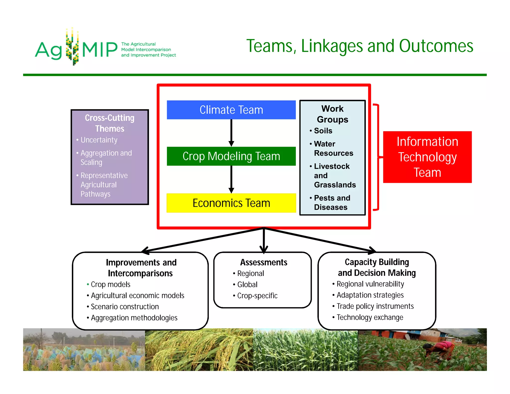 Teams, Linkages and Outcomes
Capacity Building
and Decision Making
• Regional vulnerability
• Adaptation strategies
• Trade policy instruments
• Technology exchange
Climate Team
Crop Modeling Team
Economics Team
Information
Technology
Team
Improvements and
Intercomparisons
• Crop models
• Agricultural economic models
• Scenario construction
• Aggregation methodologies
Cross-Cutting
Themes
• Uncertainty
• Aggregation and
Scaling
• Representative
Agricultural
Pathways
Assessments
• Regional
• Global
• Crop-specific
Work
Groups
• Soils
• Water
Resources
• Livestock
and
Grasslands
• Pests and
Diseases
 