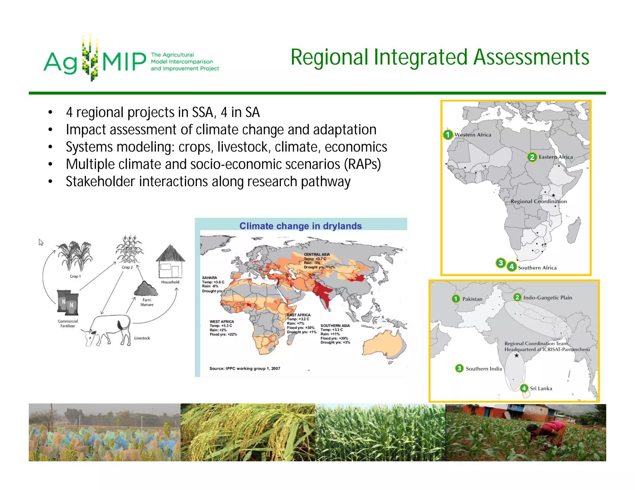 Regional Integrated Assessments
• 4 regional projects in SSA, 4 in SA
• Impact assessment of climate change and adaptation
• Systems modeling: crops, livestock, climate, economics
• Multiple climate and socio-economic scenarios (RAPs)
• Stakeholder interactions along research pathway
 
