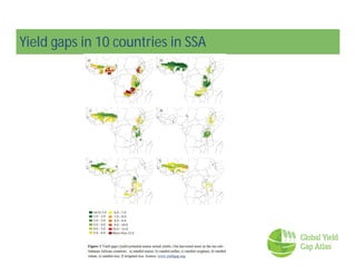 How can ‘Yield gap analysis’ be useful :Global yield gap atlas (gyga)
