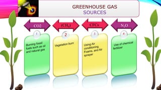 GREENHOUSE GAS 
SOURCES 
CO2 (CH4) CFCs N2O 
2 
 