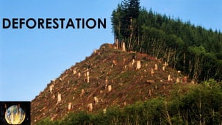 DEFORESTATION 
 