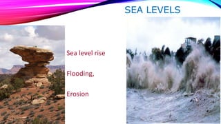SEA LEVELS 
Sea level rise 
Flooding, 
Erosion 
 