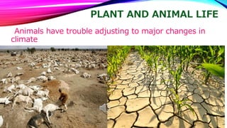 PLANT AND ANIMAL LIFE 
Animals have trouble adjusting to major changes in 
climate 
 