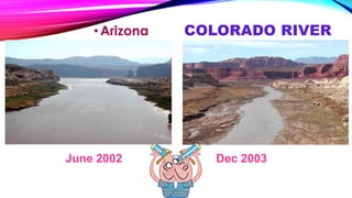 •Arizona COLORADO RIVER 
June 2002 Dec 2003 
 